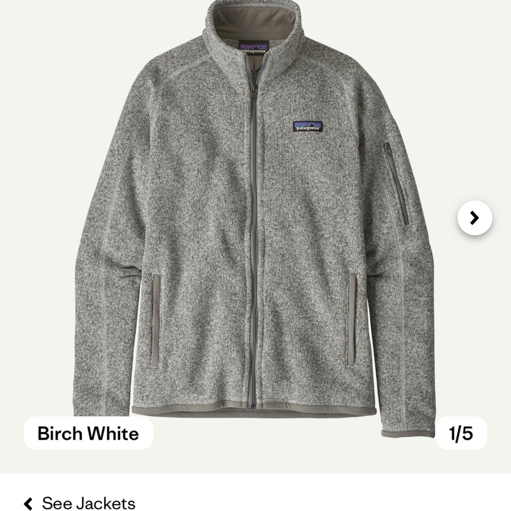 Patagonia Birch White Fleece Jacket